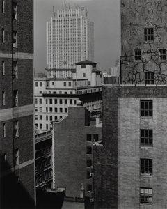  - Alfred Stieglitz