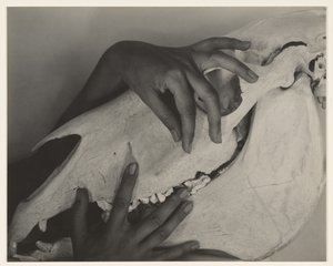  - Alfred Stieglitz