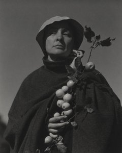  - Alfred Stieglitz