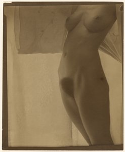  - Alfred Stieglitz