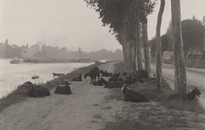  - Alfred Stieglitz