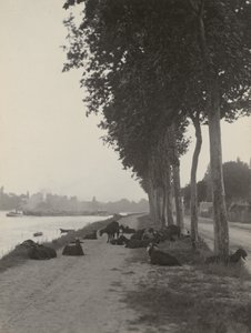  - Alfred Stieglitz