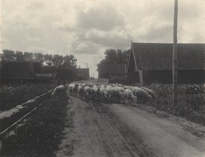  - Alfred Stieglitz