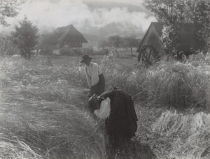  - Alfred Stieglitz