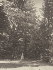  - Alfred Stieglitz