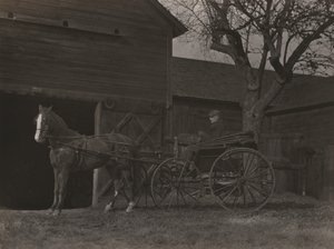  - Alfred Stieglitz