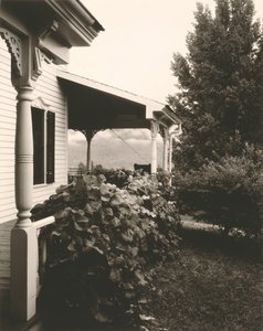 Maison et feuilles de vigne