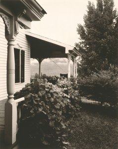 Maison et Feuilles de Vigne