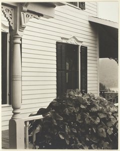 Maison et feuilles de vigne - Alfred Stieglitz