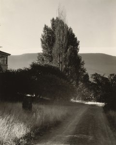  - Alfred Stieglitz