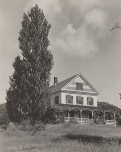  - Alfred Stieglitz