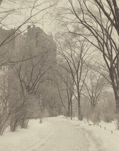  - Alfred Stieglitz
