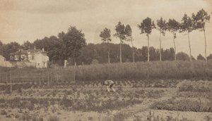  - Alfred Stieglitz