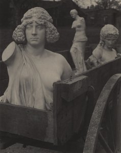  - Alfred Stieglitz