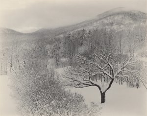  - Alfred Stieglitz