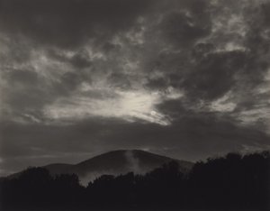  - Alfred Stieglitz