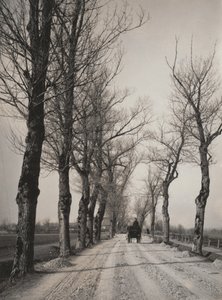 - Alfred Stieglitz