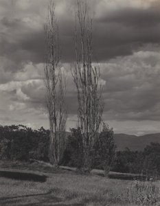  - Alfred Stieglitz