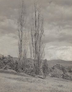  - Alfred Stieglitz