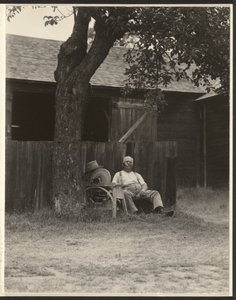  - Alfred Stieglitz