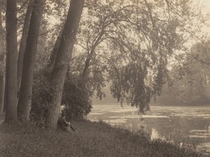 - Alfred Stieglitz
