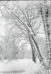 Paysage enneigé, Berlin