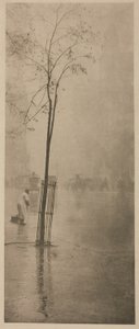 Averses printanières - Alfred Stieglitz