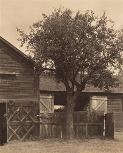  - Alfred Stieglitz
