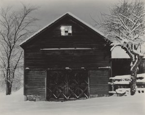  - Alfred Stieglitz