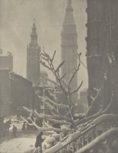  - Alfred Stieglitz