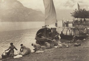  - Alfred Stieglitz