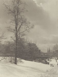  - Alfred Stieglitz