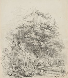Lieu de sépulture indien, Oregon, 1841