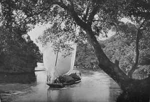 Bateau Padda à pleine voile