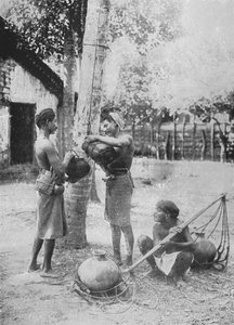 Tireurs de toddy, vers 1890, 1910
