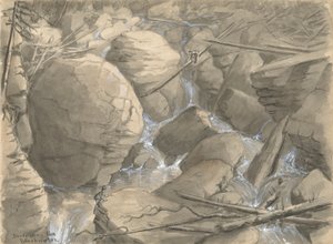 Descente du Blackwater - Alfred Wordsworth Thompson