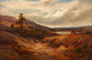 Bétail des Highlands sur un Chemin de Montagne