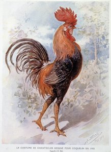 Costume de coq de Chantecler conçu pour Constant Poppy en 1908, pièce en vers par Edmond Rostand
