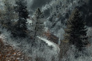 La route de Milan, 2018 (photographie peinte à la main) - Alice Gur-Arie