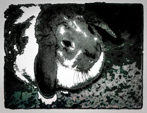 Rabbit Habbits, 2022 (photographie repeinte)