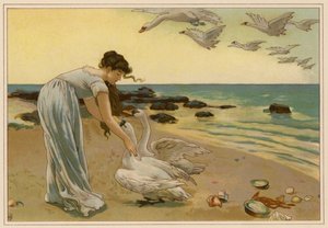 Les cygnes blancs