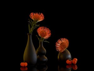  - Alice Sheng