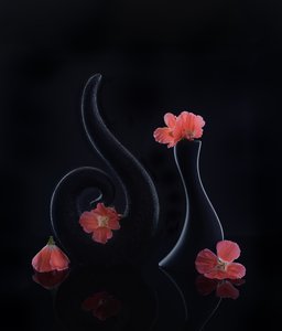  - Alice Sheng