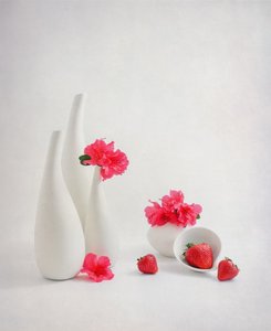 - Alice Sheng