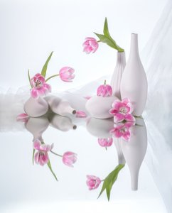  - Alice Sheng