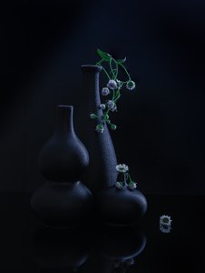  - Alice Sheng