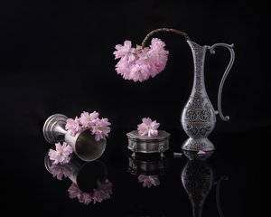  - Alice Sheng