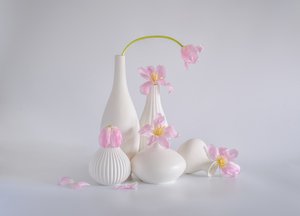  - Alice Sheng