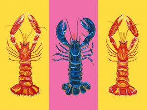 Lobster Langoustines Pop Art 2 - Alice Straker