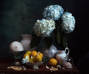  - Alina Lankina